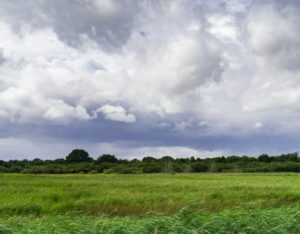 Executor acting fraudulently UK