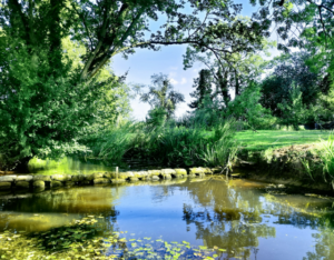 Conveyancing Solicitors Halesworth