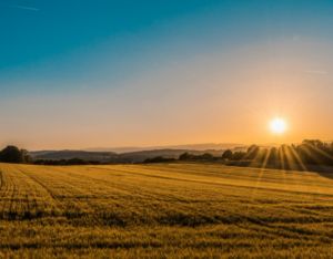 Land Solicitors Near Me