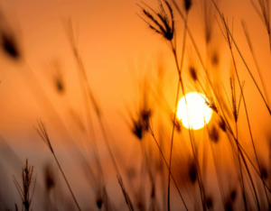 No Win, No Fee Medical Negligence