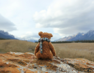 Medical Negligence Stillbirth Compensation